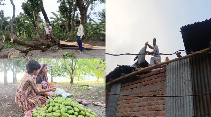 কালবৈশাখীর ছোবলে মেহেরপুরে ঘরবাড়ি ও গাছপালার ব্যাপক ক্ষতি