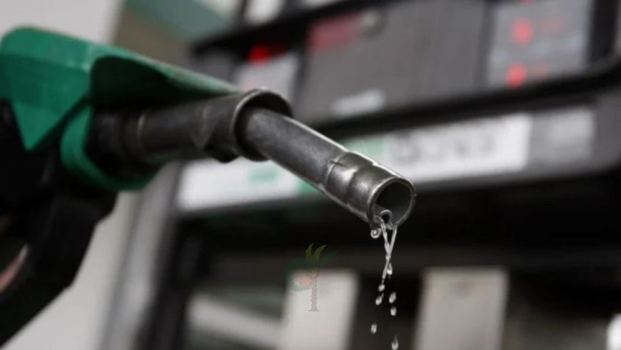 দাম বাড়ানোর পর জ্বালানি তেলের সরবরাহ বাড়লো