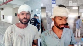 কালিয়ায় পাটক্ষেতে কুকুর ঢোকা নিয়ে সংঘর্ষ, নারীসহ আহত ৫