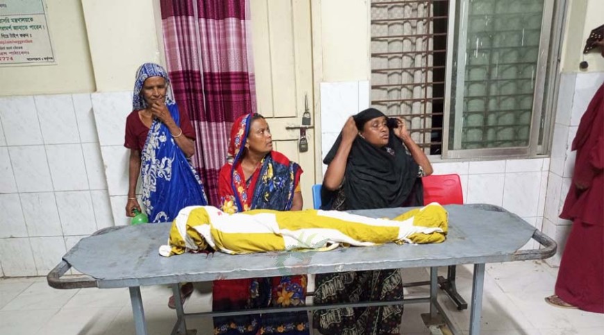 গাংনীতে ট্রলির ধাক্কায় শিশু নিহত