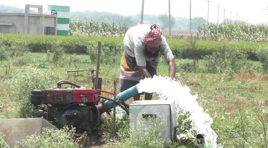 বোরো ধান উৎপাদন খরচ বেড়েছে বিঘাপ্রতি প্রায় দুই হাজার টাকা