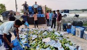কালিগঞ্জে রাসায়নিক মিশ্রিত সাড়ে তিন হাজার কেজি আম ধ্বংস