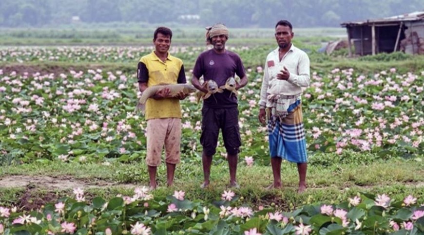 পদ্মফুলে সৌন্দর্য, ঘেরে সর্বনাশ- তবু স্বপ্ন ছাড়েননি তিন উদ্যোক্তা