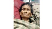 লোহাগড়ায় পরিচয়হীন বৃদ্ধার মৃত্যু, দাফন করবে আঞ্জুমান