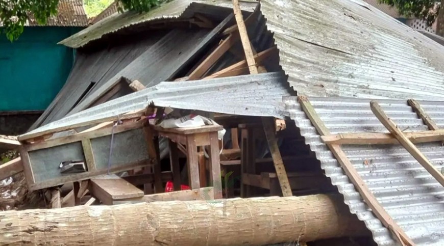 ঝড়ে স্কুলের ওপর গাছ পড়ে দুই শিশু শিক্ষার্থী আহত