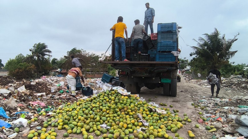 কেমিক্যাল মিশ্রিত নয় হাজার কেজি আম জব্দ