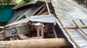 ঝড়ে স্কুলের ওপর গাছ পড়ে দুই শিশু শিক্ষার্থী আহত
