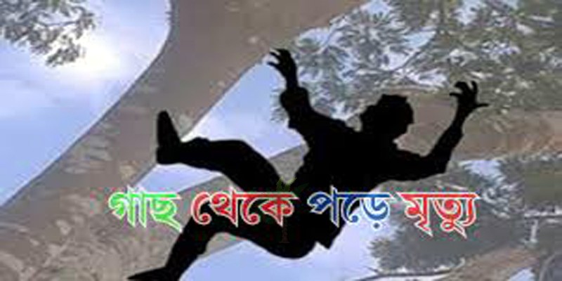 মণিরামপুরে গাছ থেকে পড়ে কৃষকের মৃত্যু