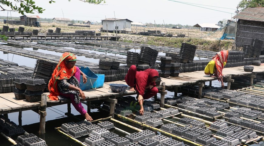উপকূলে এখনো বৈষম্যের শিকার নারী শ্রমিকরা
