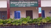 কৃষি প্রণোদনার টাকা পকেটে: মহম্মদপুরে কর্মকর্তাদের কারণে ব্যহত হলুদ চাষ