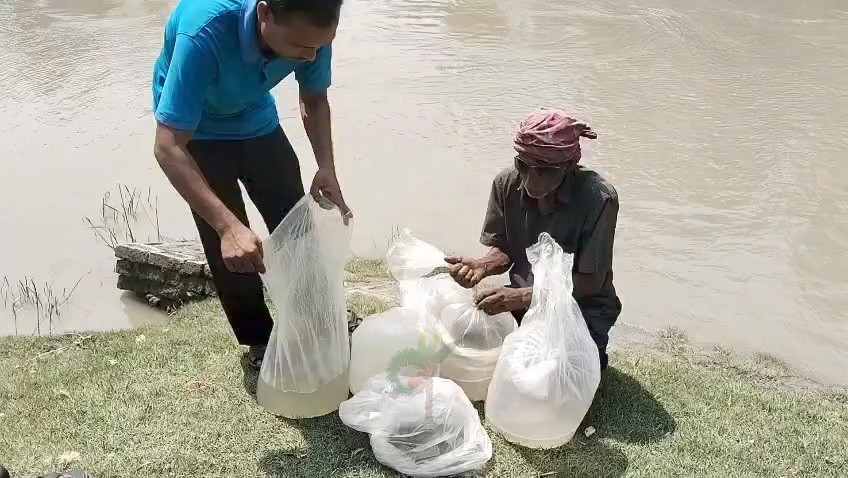 দেবহাটায় ভারতীয় রেণু উদ্ধার, খালে অবমুক্ত