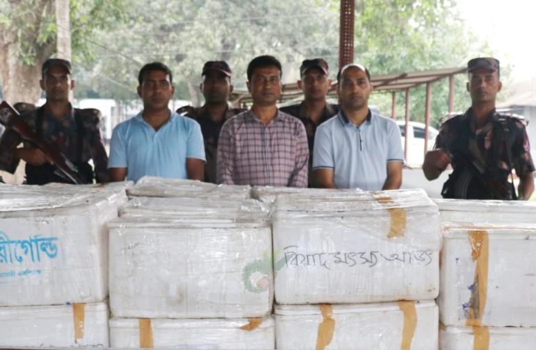 জেলি পুশ করা ১১শ’ কেজি চিংড়ি ধ্বংস, জরিমানা