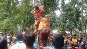 গাছের মাথায় মৃত্যু