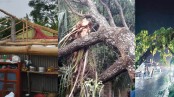 ঝড়ের কবলে দেবহাটার বসতবাড়ি দোকানপাট