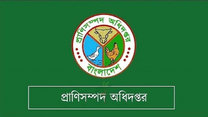‘ভারত থেকে গরু আমদানির অনুমতিপত্র ভুয়া’