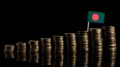 সর্বজনীন পেনশন কার্যক্রম স্থবির