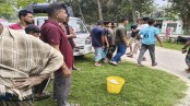 গাংনীতে এবার আ. লীগ নেতার বাড়ি থেকে বোমাসদৃশ বস্তু ও চিরকুট উদ্ধার