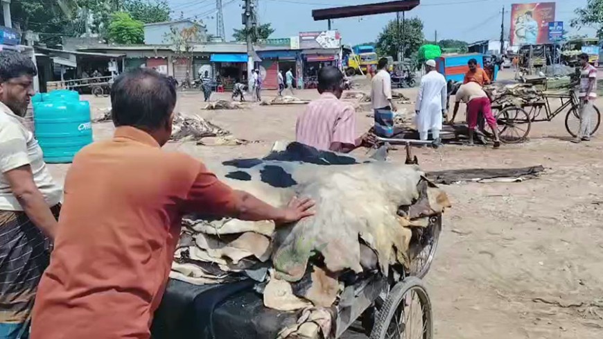 চামড়ার বাজার চাঙ্গা করতে কার্যকর উদ্যোগ নিন