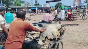 চামড়ার বাজার চাঙ্গা করতে কার্যকর উদ্যোগ নিন