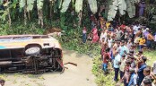 কুষ্টিয়ায় বাস খাদে পড়ে তিনজন নিহত