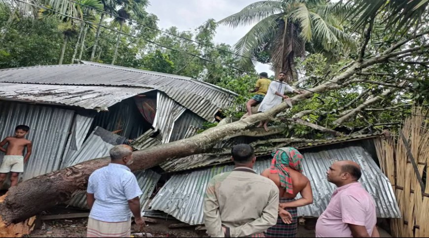 লোহাগড়ায় আকস্মিক ঝড়ে লণ্ডভণ্ড বসতবাড়ি