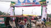কেসিসির হাটে এবার ৬ হাজার ৮৮০টি পশু বিক্রি: রাজস্ব আদায় সোয়া ২ কোটি