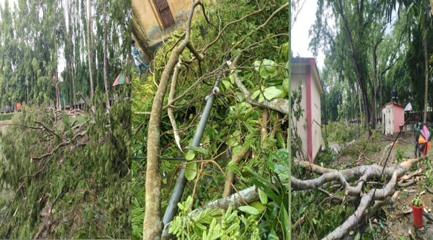 কালবৈশাখীর তাণ্ডবে মধুপল্লী লণ্ডভণ্ড