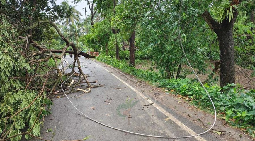 সাতক্ষীরায় কালবৈশাখীর তাণ্ডবে বহু এলাকা বিদ্যুৎহীন