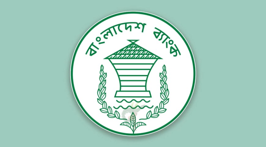 চামড়া খাতে ঋণ দিতে বিশেষ ছাড় দিয়েছে বাংলাদেশ ব্যাংক