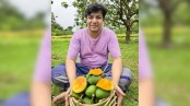 আম বিক্রি শুরু করলেন আমজনতার তারেক