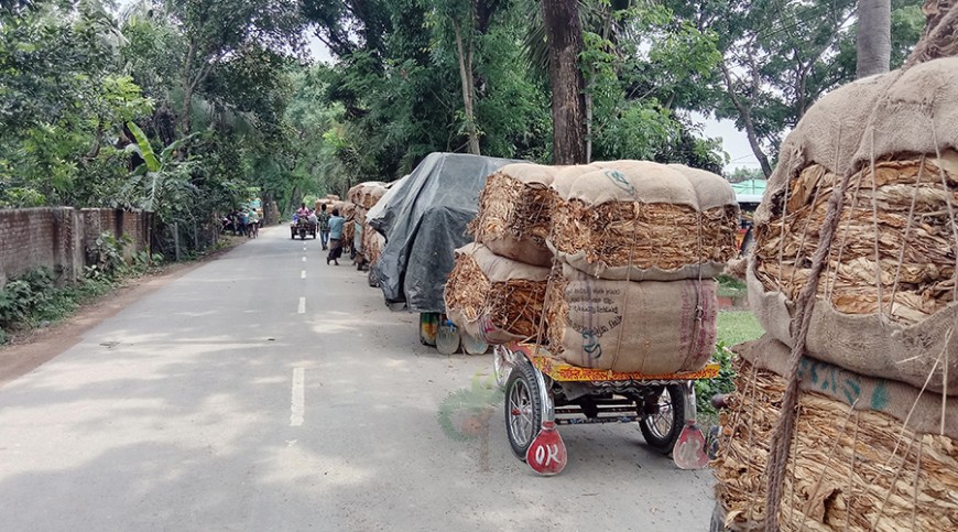 স্কুলের দেয়ালঘেঁষে তামাকপাতা প্রক্রিয়াজাত কেন্দ্র, ঝুঁকিতে শিশুরা