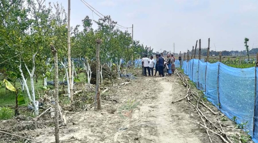 মাল্টাবাগান কেটে রাস্তা নির্মাণের অভিযোগ