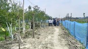 মাল্টাবাগান কেটে রাস্তা নির্মাণের অভিযোগ
