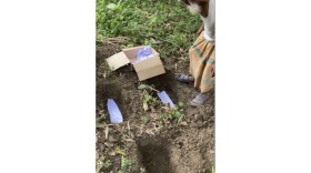একসঙ্গে সাত সন্তানের জন্ম, বাঁচলো না একটিও