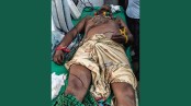 শ্রীপুরে সাপের ছোবলে কৃষকের মৃত্যু