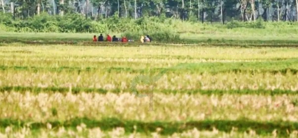 বেনাপোল সীমান্তে বিএসএফের পুশইন চেষ্টা, জিরো লাইনে নারী-শিশু