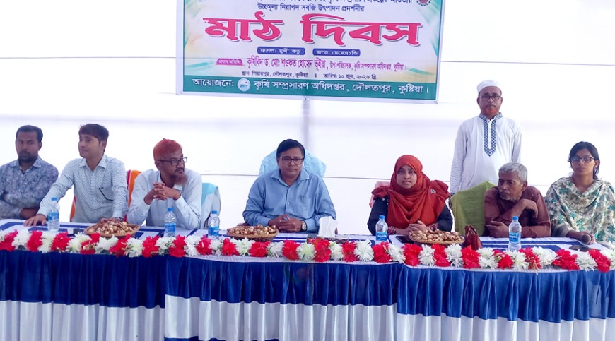দৌলতপুরে ‘মেহেরচন্ডি মুখীকচু' চাষের মাঠ দিবস অনুষ্ঠিত