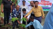 কালিয়ায় বৃক্ষরোপণ কর্মসূচি উদ্বোধন