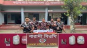চুয়াডাঙ্গায় বিজিবির অভিযানে বিদেশী পিস্তল, গুলি ও গাঁজা উদ্ধার