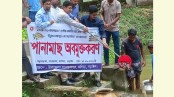 কালিয়ায় প্রাকৃতিক জলাশয়ে মাছের পোনা অবমুক্ত