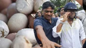 তৃণমূল নেতাদের ওপর পচা ডিম নিক্ষেপ, চাহিদা বেড়েছে নজিরবিহীন