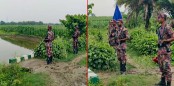 মেহেরপুর সীমান্তে ৪ জনকে পুশইনের চেষ্টা ভারতীয় বিএসএফের