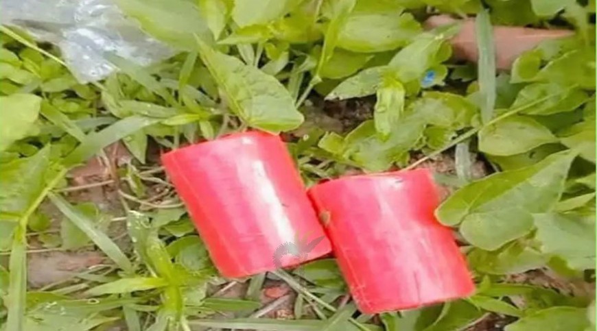 সাতক্ষীরায় বিএনপি অফিসের সামনে দুই ককটেল