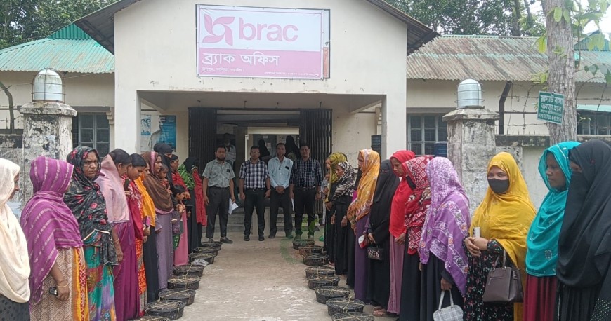 ব্র্যাকের হাঁস-মুরগির বাচ্চা বিতরণ