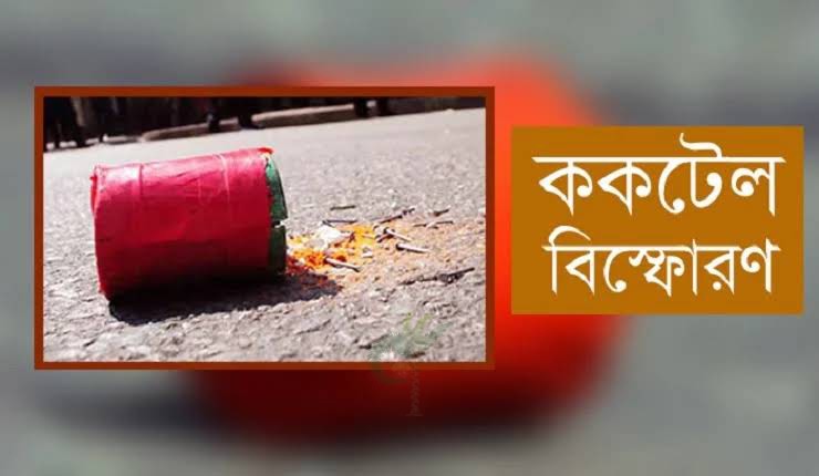 গাংনীতে ককটেল বিস্ফোরণের ঘটনায় যুবক গ্রেপ্তার