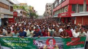 ‘আওয়ামী নৈরাজ্যের’ প্রতিবাদে মেহেরপুরে বিএনপির মিছিল