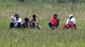 শূন্যরেখায় রোদে পুড়েছে নয়জন