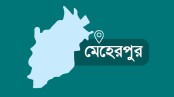 গাংনীতে জামায়াত নেতার পুকুরে বিষ প্রয়োগ, ৩০ লাখ টাকার ক্ষতি