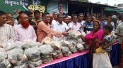 রাজনীতি