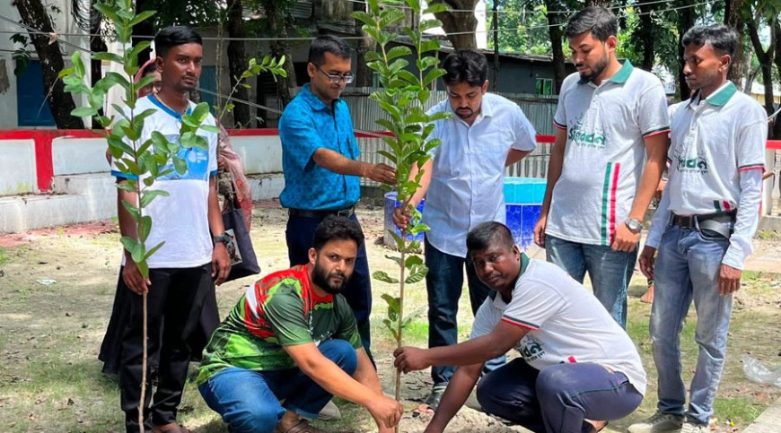 পাইকগাছায় গাছের চারা বিতরণ